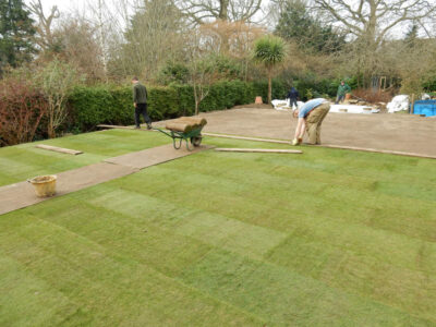 Lawns and Drainage in Guildford, Surrey - Construction of a high grade lawn using a rootzone soil medium after drainage was installed and areas raised. Lawns & Turfing - MDB Landscapes