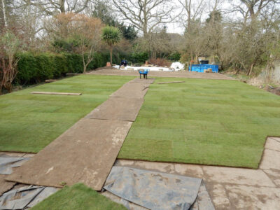 Lawns and Drainage in Guildford, Surrey - Construction of a high grade lawn using a rootzone soil medium after drainage was installed and areas raised. Lawns & Turfing - MDB Landscapes