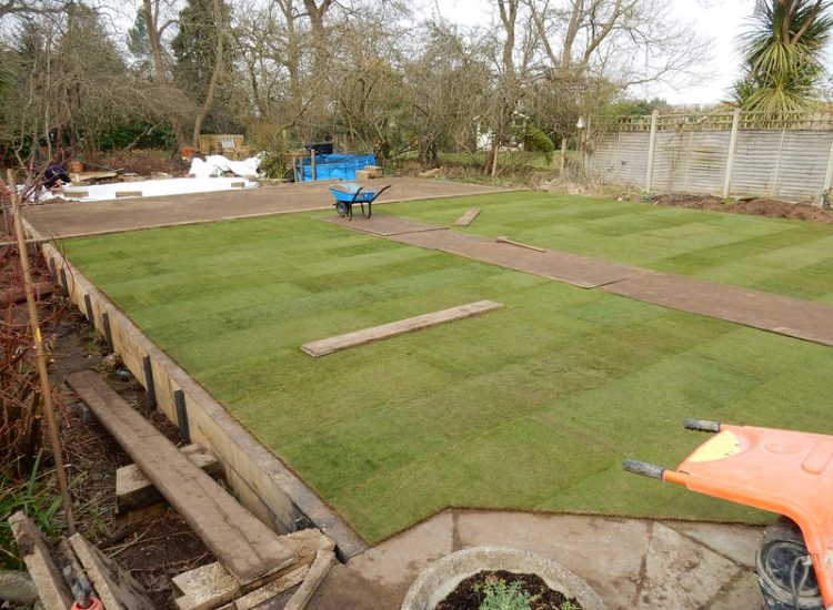 Lawns and Drainage in Guildford, Surrey - Construction of a high grade lawn using a rootzone soil medium after drainage was installed and areas raised. Lawns & Turfing - MDB Landscapes