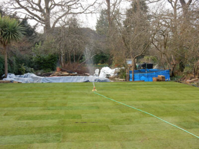 Lawns and Drainage in Guildford, Surrey - Construction of a high grade lawn using a rootzone soil medium after drainage was installed and areas raised. Lawns & Turfing - MDB Landscapes