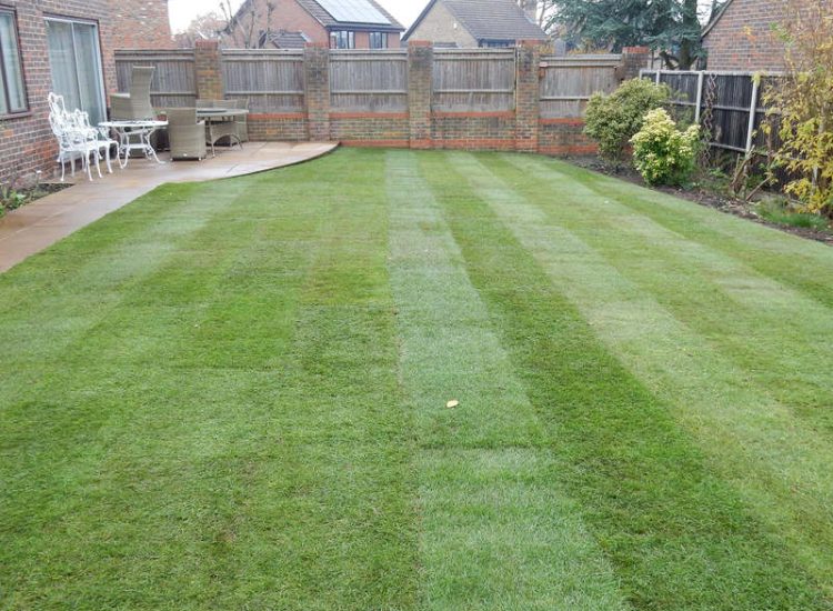 Turfing in Lightwater, Surrey - A new lawn raised to new levels, flush to new EverEdge Pro edging and paved areas. Imported soil medium a blend of topsoil, organic matter and sand. Turf used Rolawn Medallion. Lawns & Turfing - MDB Landscapes