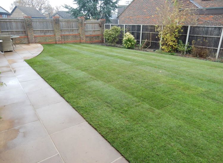 Lawns & Turfing - MDB Landscapes