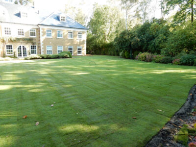Lawn Construction in Oxshott, Surrey - Large areas of garden lawns struggling with drainage issues. Areas reduced in levels first, land drainage installed followed by the importaion of rootzone and completed areas re-turfed. Lawns & Turfing - MDB Landscapes