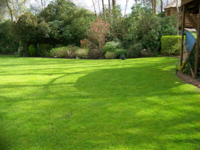 Lawn Construction in Oxshott, Surrey - Large areas of garden lawns struggling with drainage issues. Areas reduced in levels first, land drainage installed followed by the importaion of rootzone and completed areas re-turfed. Lawns & Turfing - MDB Landscapes