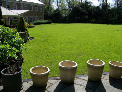 Lawn Construction in Oxshott, Surrey - Large areas of garden lawns struggling with drainage issues. Areas reduced in levels first, land drainage installed followed by the importaion of rootzone and completed areas re-turfed. Lawns & Turfing - MDB Landscapes