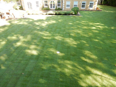 Lawn Construction in Oxshott, Surrey - Large areas of garden lawns struggling with drainage issues. Areas reduced in levels first, land drainage installed followed by the importaion of rootzone and completed areas re-turfed. Lawns & Turfing - MDB Landscapes
