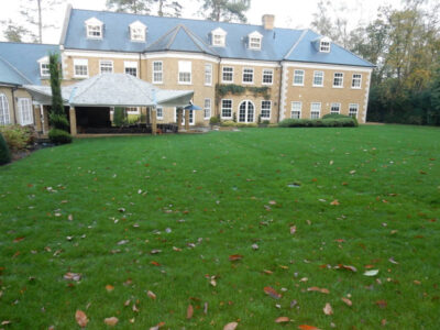 Lawn Construction in Oxshott, Surrey - Large areas of garden lawns struggling with drainage issues. Areas reduced in levels first, land drainage installed followed by the importaion of rootzone and completed areas re-turfed. Lawns & Turfing - MDB Landscapes