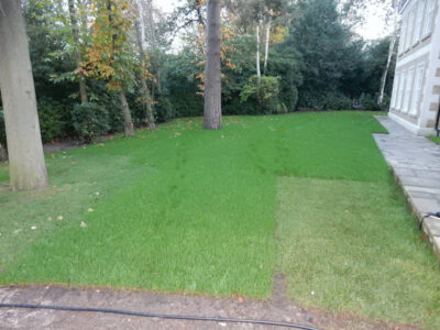 Lawn Construction in Oxshott, Surrey - Large areas of garden lawns struggling with drainage issues. Areas reduced in levels first, land drainage installed followed by the importaion of rootzone and completed areas re-turfed. Lawns & Turfing - MDB Landscapes