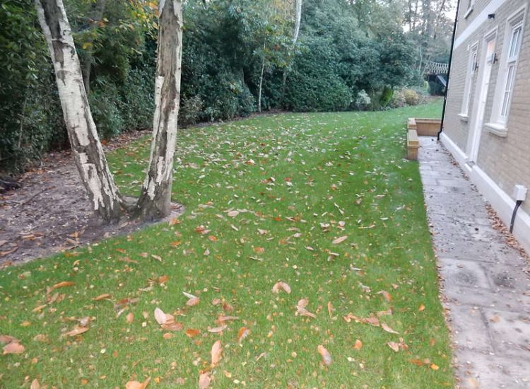 Lawns & Turfing - MDB Landscapes