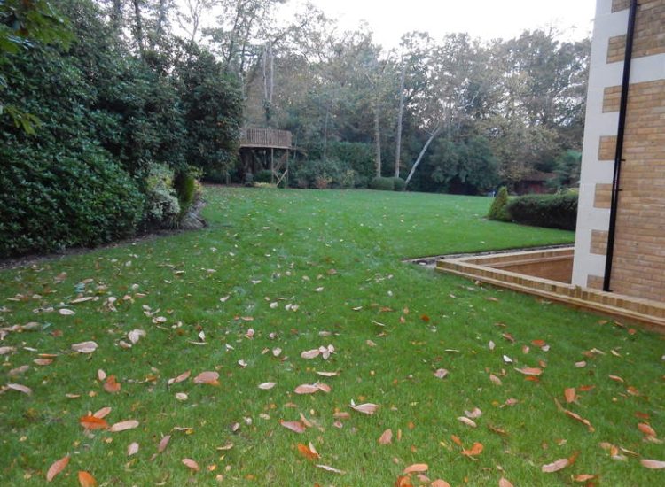 Lawns & Turfing - MDB Landscapes