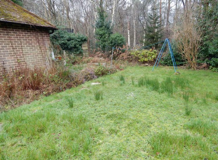 New Lawn and Drainage in Sandhurst, Berkshire - An unusable rear garden and lawn transformed with drainage and a new lawn. Lawns & Turfing - MDB Landscapes