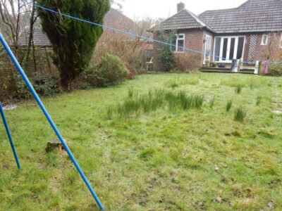 New Lawn and Drainage in Sandhurst, Berkshire - An unusable rear garden and lawn transformed with drainage and a new lawn. Lawns & Turfing - MDB Landscapes