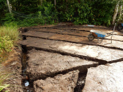 New Lawn and Drainage in Sandhurst, Berkshire - An unusable rear garden and lawn transformed with drainage and a new lawn. Lawns & Turfing - MDB Landscapes