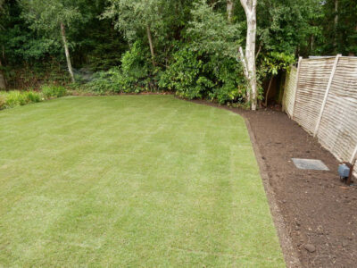 New Lawn and Drainage in Sandhurst, Berkshire - An unusable rear garden and lawn transformed with drainage and a new lawn. Lawns & Turfing - MDB Landscapes