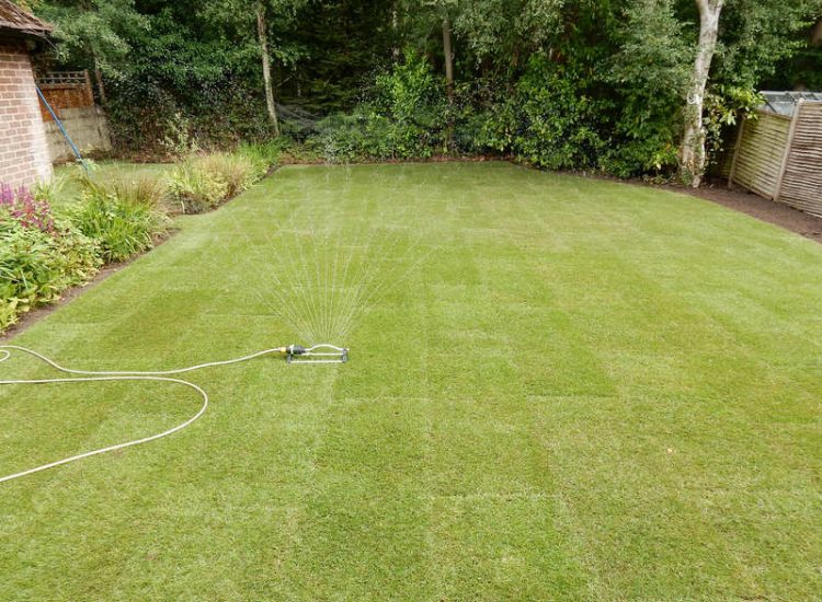 New Lawn and Drainage in Sandhurst, Berkshire - An unusable rear garden and lawn transformed with drainage and a new lawn. Lawns & Turfing - MDB Landscapes