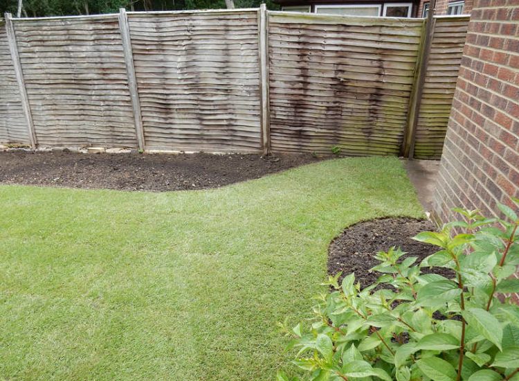 Lawns & Turfing - MDB Landscapes