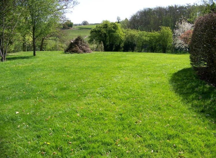 Grass Seeding in Dippenhall, Surrey - Recontouring of large areas of garden with imported topsoil and areas re-seeded on completion. Lawns & Turfing - MDB Landscapes