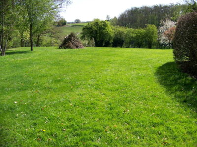 Grass Seeding in Dippenhall, Surrey - Recontouring of large areas of garden with imported topsoil and areas re-seeded on completion. Lawns & Turfing - MDB Landscapes