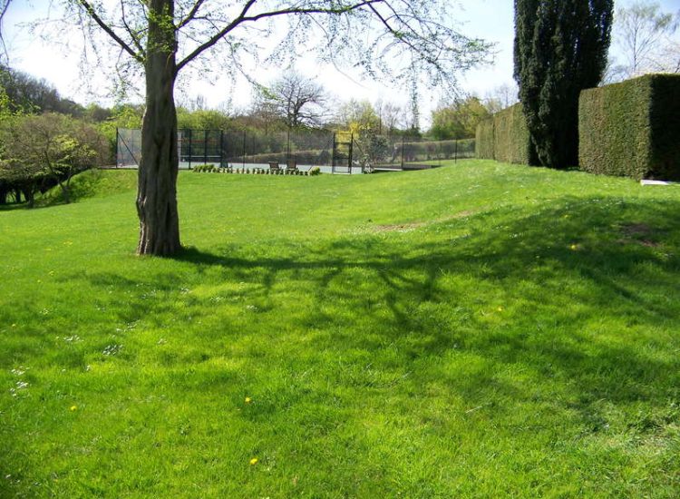 Lawns & Turfing - MDB Landscapes