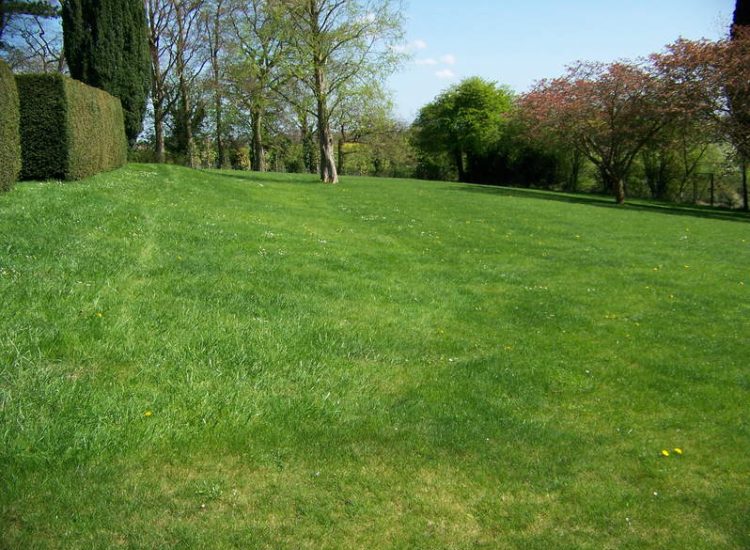 Lawns & Turfing - MDB Landscapes