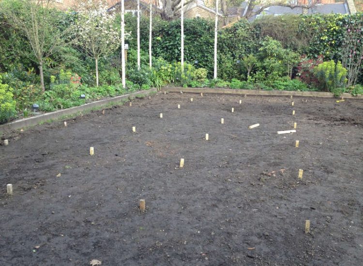 Lawn Drainage London - A poor soil medium left lawn areas very water logged and difficult to manage through out the year. Extensive land drainage was installed, new rootzone medium imported in and lawns re-turfed. Access was also restricted for this project with difficult level changes to contend with. Garden Drainage - MDB Landscapes