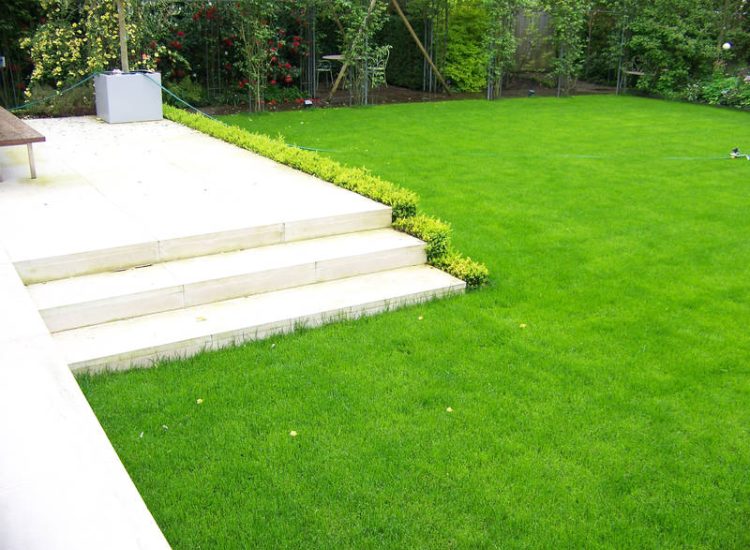 Lawn Drainage London - A poor soil medium left lawn areas very water logged and difficult to manage through out the year. Extensive land drainage was installed, new rootzone medium imported in and lawns re-turfed. Access was also restricted for this project with difficult level changes to contend with. Garden Drainage - MDB Landscapes