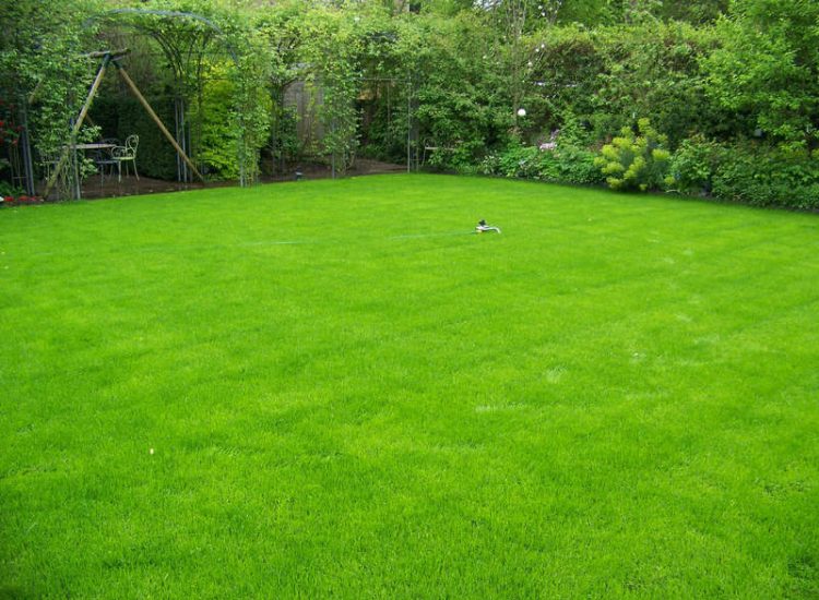 Lawn Drainage London - A poor soil medium left lawn areas very water logged and difficult to manage through out the year. Extensive land drainage was installed, new rootzone medium imported in and lawns re-turfed. Access was also restricted for this project with difficult level changes to contend with. Garden Drainage - MDB Landscapes