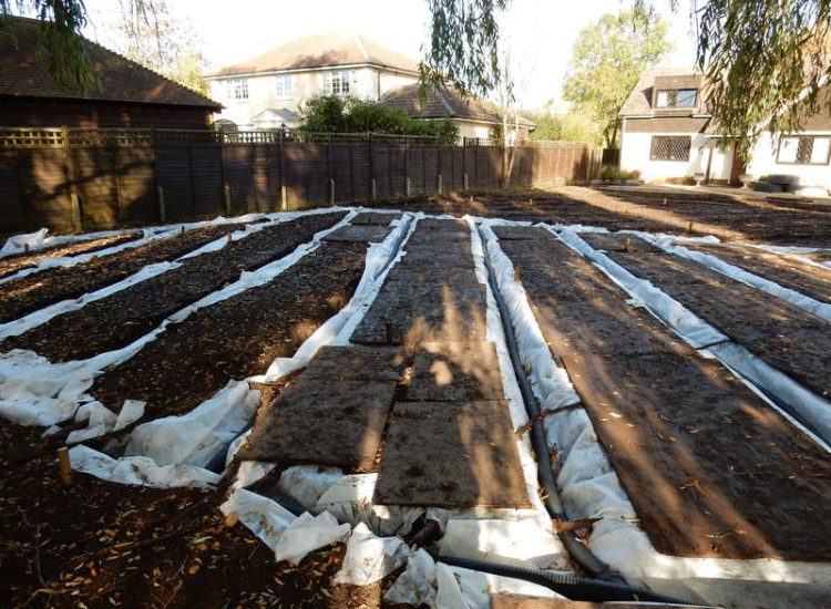 Lawn Drainage Crondall, Hampshire - Land drains, a drainage layer, raising of levels and a new lawn were required for this project to change what was an unusable front garden during both winter and summer months. Garden Drainage - MDB Landscapes