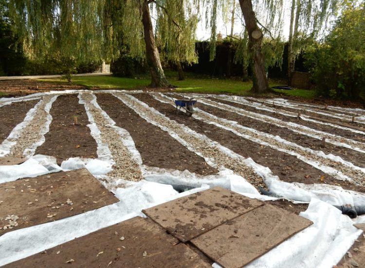 Lawn Drainage Crondall, Hampshire - Land drains, a drainage layer, raising of levels and a new lawn were required for this project to change what was an unusable front garden during both winter and summer months. Garden Drainage - MDB Landscapes