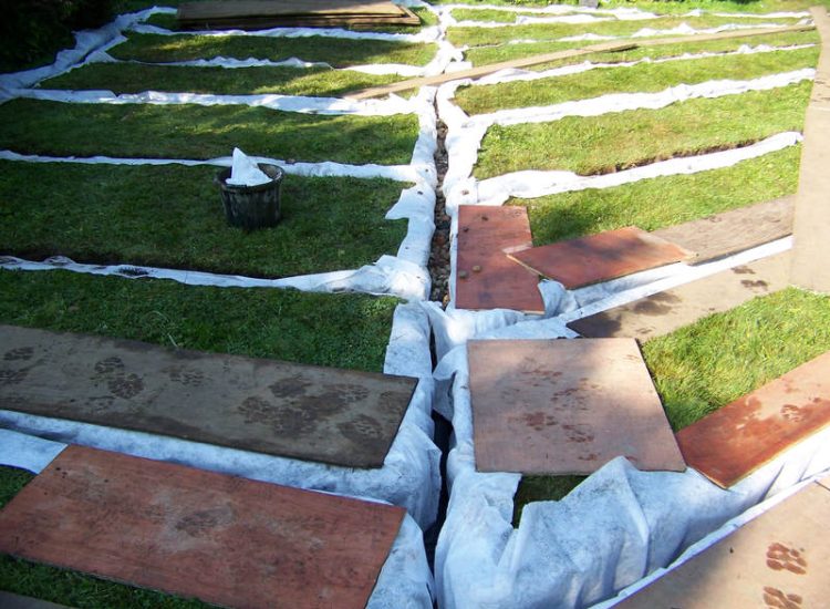 Garden and Lawn Drainage Wormley, Godalming, Surrey - With a very moisture retentive soil type and a constant in ground flow of water this garden remained unusable through out the whole year for the entire family. Garden Drainage - MDB Landscapes