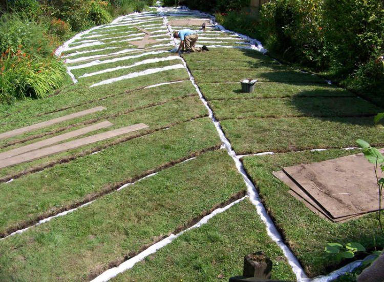 Garden and Lawn Drainage Wormley, Godalming, Surrey - With a very moisture retentive soil type and a constant in ground flow of water this garden remained unusable through out the whole year for the entire family. Garden Drainage - MDB Landscapes