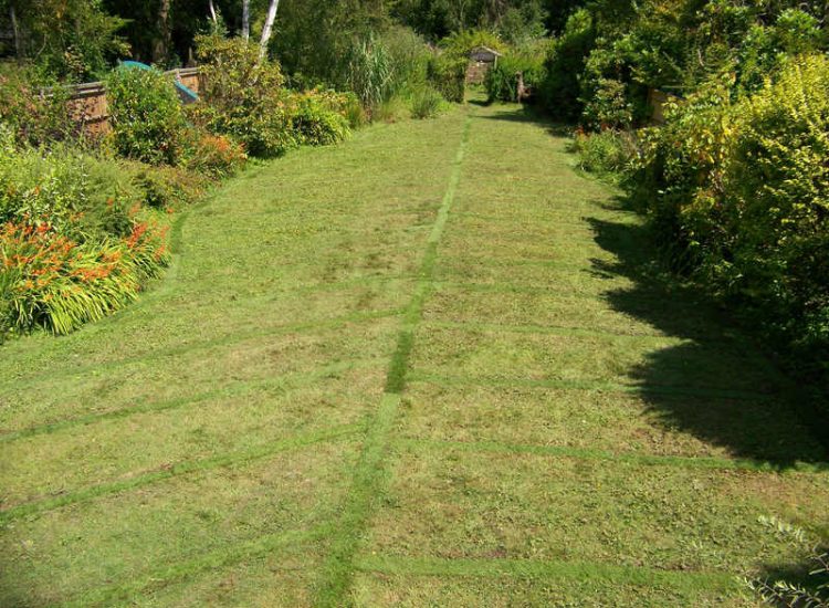 Garden Drainage - MDB Landscapes