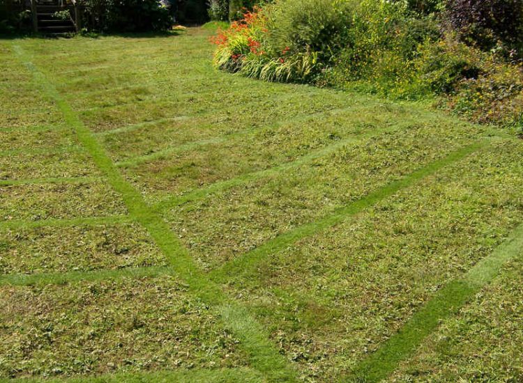 Garden Drainage - MDB Landscapes