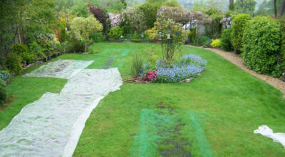 Lawn Drainage Wrecclesham, Farnham, Surrey - A constant in ground flow of water and poor water retentive soil type left the majority of this rear lawn wet and boggy. Extensive land drains were proposed and installed to great effect. The lower area of the garden was used as a discharge point for the drained water collecting first into a water reservoir. Garden Drainage - MDB Landscapes