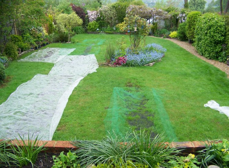 Lawn Drainage Wrecclesham, Farnham, Surrey - A constant in ground flow of water and poor water retentive soil type left the majority of this rear lawn wet and boggy. Extensive land drains were proposed and installed to great effect. The lower area of the garden was used as a discharge point for the drained water collecting first into a water reservoir. Garden Drainage - MDB Landscapes