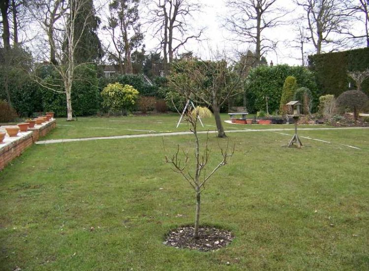 Garden Drainage - MDB Landscapes