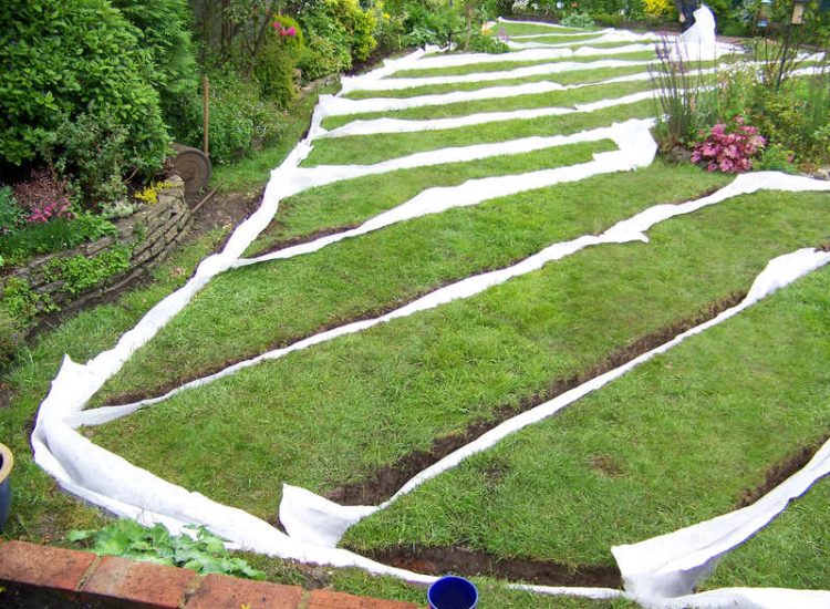 Lawn Drainage Wrecclesham, Farnham, Surrey - A constant in ground flow of water and poor water retentive soil type left the majority of this rear lawn wet and boggy. Extensive land drains were proposed and installed to great effect. The lower area of the garden was used as a discharge point for the drained water collecting first into a water reservoir. Garden Drainage - MDB Landscapes