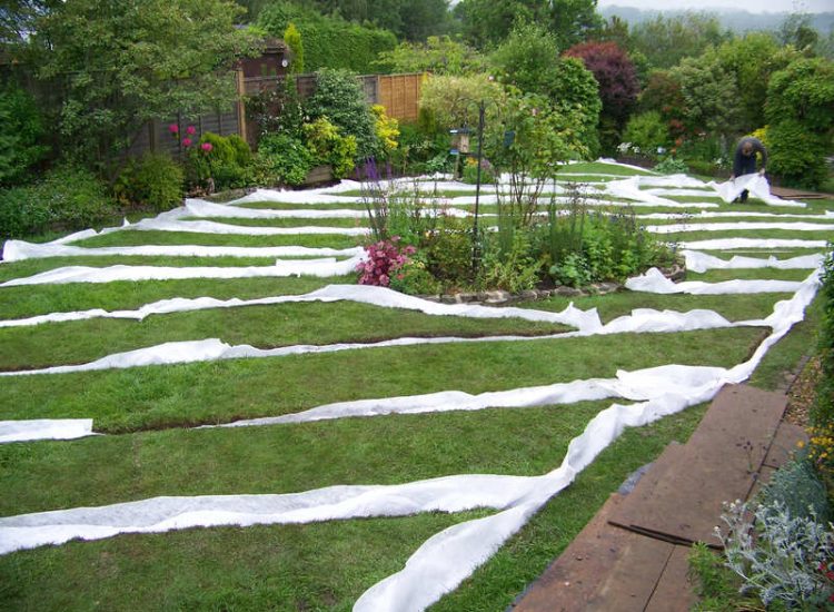 Lawn Drainage Wrecclesham, Farnham, Surrey - A constant in ground flow of water and poor water retentive soil type left the majority of this rear lawn wet and boggy. Extensive land drains were proposed and installed to great effect. The lower area of the garden was used as a discharge point for the drained water collecting first into a water reservoir. Garden Drainage - MDB Landscapes