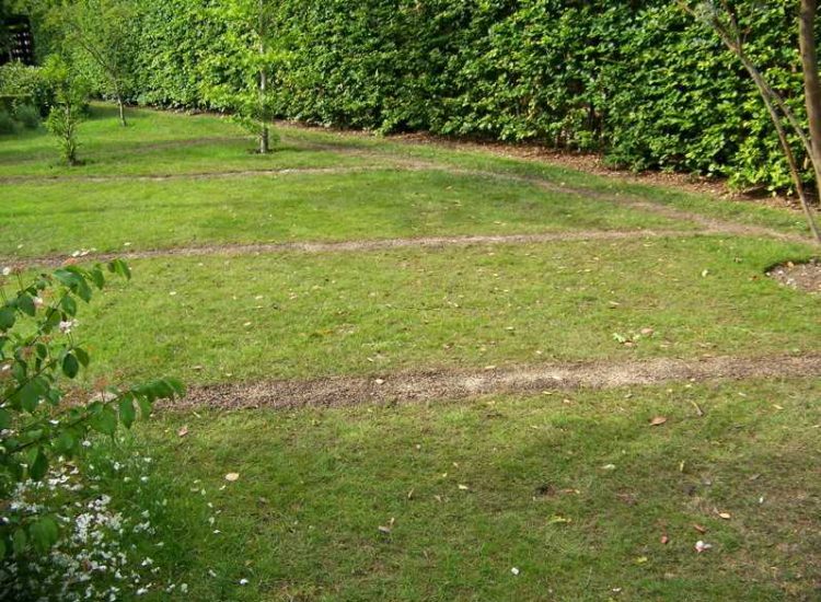 Garden Drainage - MDB Landscapes