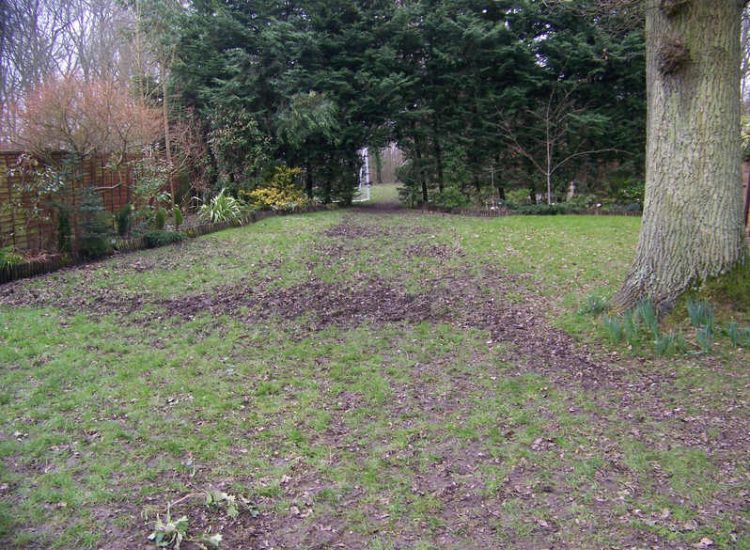 Turfing and Drainage in Winchester, Hampshire - Drainage issues were dealt with first to enable the laying of two new areas of lawn. Lawns & Turfing - MDB Landscapes