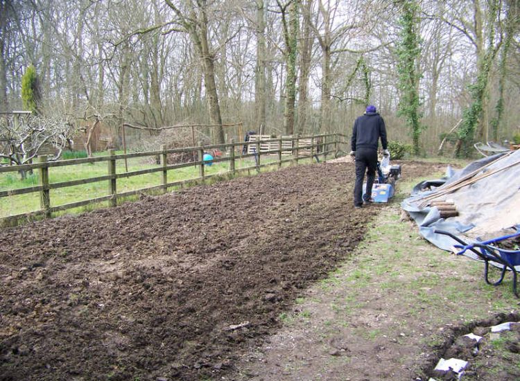 Turfing and Drainage in Winchester, Hampshire - Drainage issues were dealt with first to enable the laying of two new areas of lawn. Lawns & Turfing - MDB Landscapes