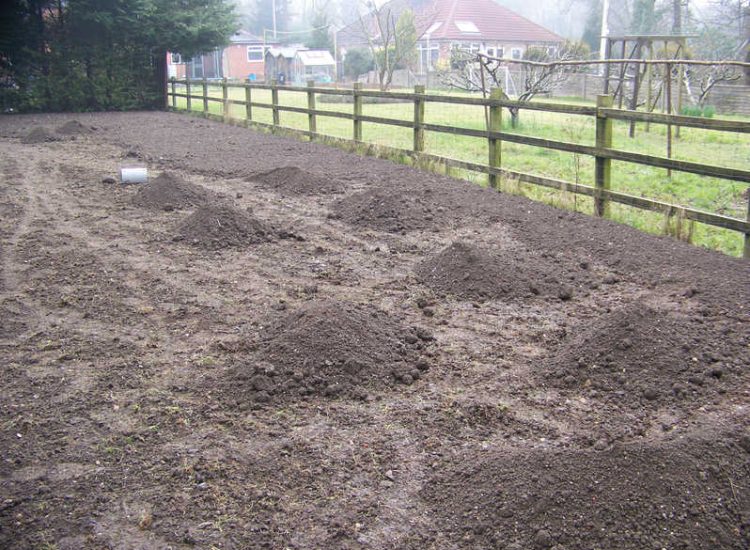 Turfing and Drainage in Winchester, Hampshire - Drainage issues were dealt with first to enable the laying of two new areas of lawn. Lawns & Turfing - MDB Landscapes