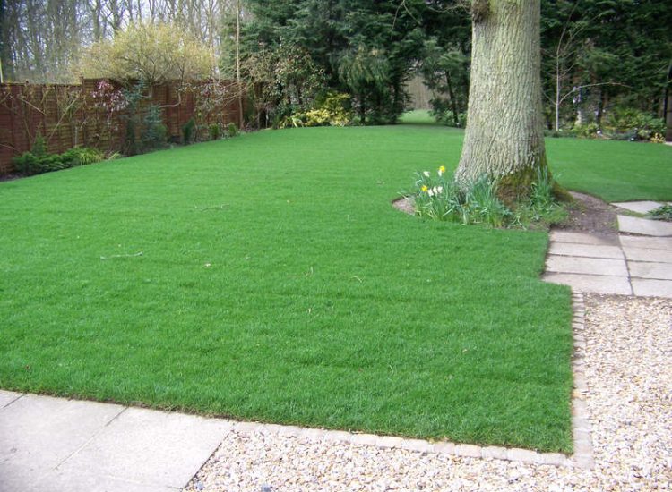 Turfing and Drainage in Winchester, Hampshire - Drainage issues were dealt with first to enable the laying of two new areas of lawn. Lawns & Turfing - MDB Landscapes