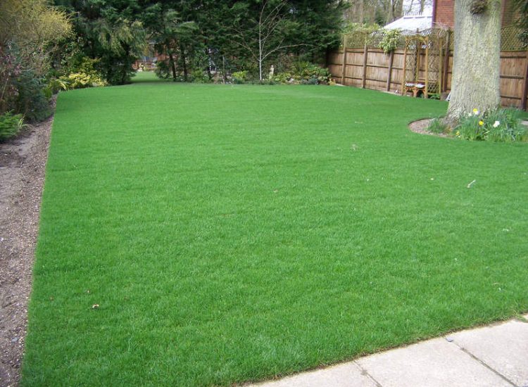 Turfing and Drainage in Winchester, Hampshire - Drainage issues were dealt with first to enable the laying of two new areas of lawn. Lawns & Turfing - MDB Landscapes