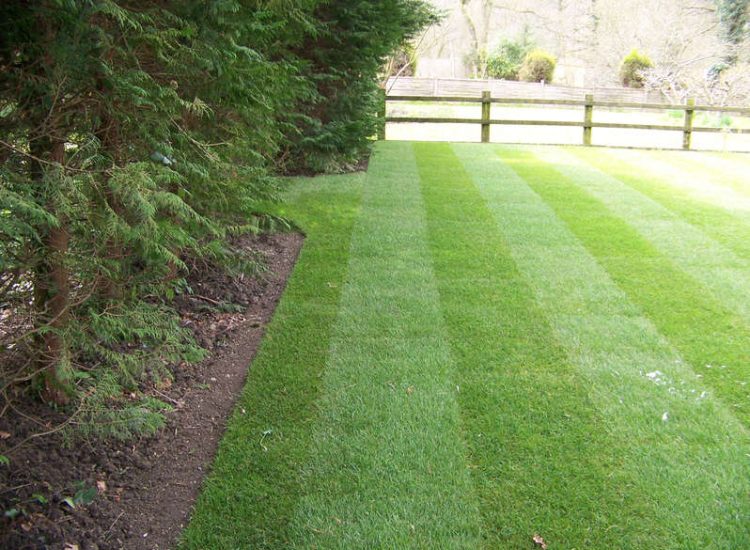 Turfing and Drainage in Winchester, Hampshire - Drainage issues were dealt with first to enable the laying of two new areas of lawn. Lawns & Turfing - MDB Landscapes