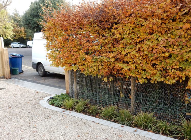 Decorative Aggregate Driveway Farnham, Surrey, GU9 - Old English limestone chippings framed with a crisp and neat edging of sawn granite setts.
