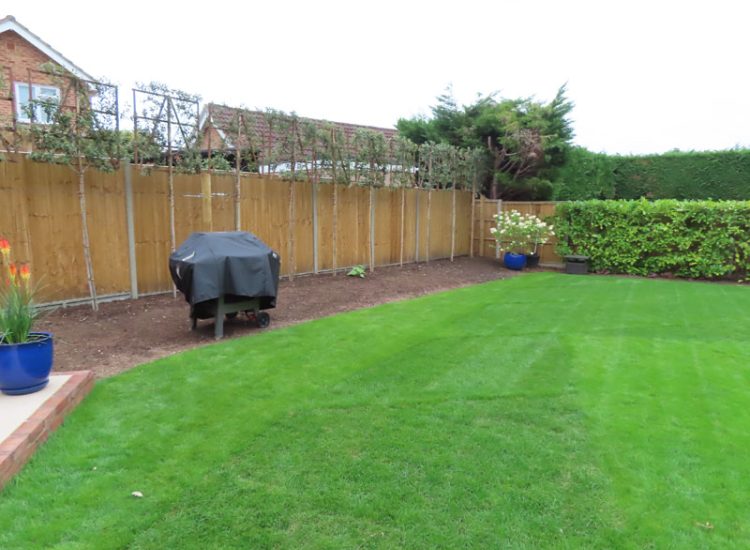Feather Edge Panel Fencing Sandhurst, Berkshire, GU47 - Extensive new feather edge panel fencing to replace old and dilapidated fencing. Second phase of this landscaping project following initial clearance.