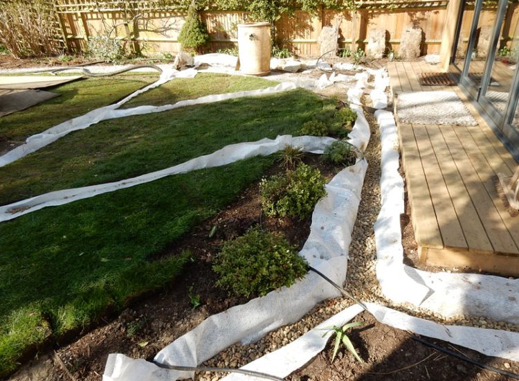 Drainage to Protect Garden Building Forest Hill, London, SE23 - A garden building installed within the lowest point of the garden with ingress from neighbouring land and the clients own garden, threatening the structure and restricting access. Drainage to Protect Garden Building Forest Hill, London, SE23 - A garden building installed within the lowest point of the garden with ingress from neighbouring land and the clients own garden, threatening the structure and restricting access.