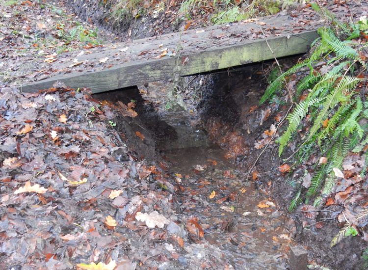 Lawn Drainage with Ditch Management Bramley, Guildford, Surrey, GU5 - Runoff from adjacent fields and neighbouring scrubland with flooding issues causing a permently boggy rear garden lawn. Lawn Drainage with Ditch Management Bramley, Guildford, Surrey, GU5 - Runoff from adjacent fields and neighbouring scrubland with flooding issues causing a permently boggy rear garden lawn.