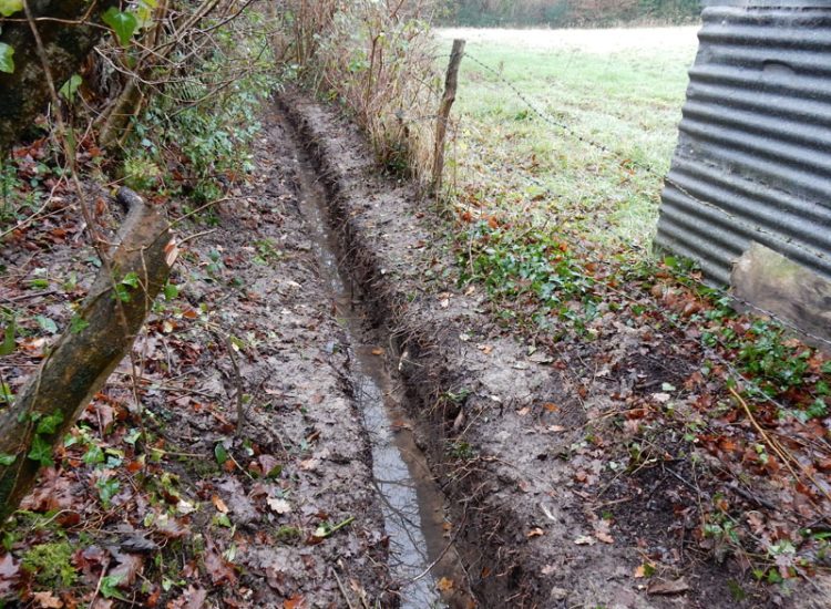 Lawn Drainage with Ditch Management Bramley, Guildford, Surrey, GU5 - Runoff from adjacent fields and neighbouring scrubland with flooding issues causing a permently boggy rear garden lawn.